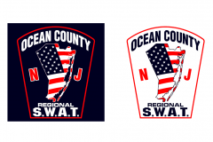 OC Regional SWAT Image